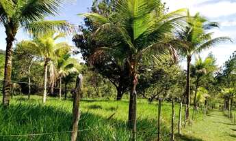 Imagem 4: Sitio em Candeias com 74.000m2