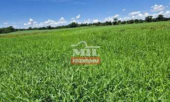 Imagem 6: Fazenda 76 alqueires (370 hectares) São Francisco - MG