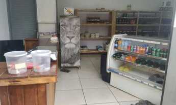 Imagem: Mercearia
