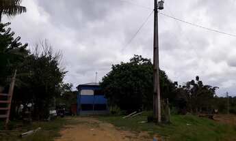 Imagem 5: Vende se esse sítio no rio preto da Eva km 91 medindo 40 por 1000