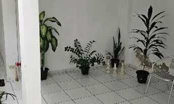 Imagem 5: Aluguel de quarto com banheiro