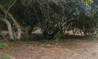 Imagem 3: Ótimo Terreno de acesso exclusivo - Enseada do Mar do Norte, Rio das Ostras