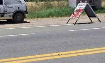 Imagem 7: Terreno estrada da ribeira