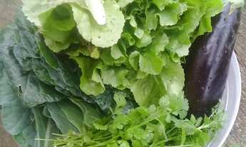 Imagem 6: Chácara com piscina próximo a Juquitiba