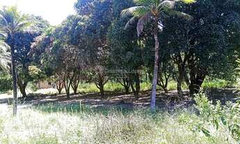 Imagem: Sítio à venda, Pov. Campestre, Teresina