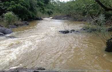 Imagem 4: Sítio 3 dormitórios à venda Área Rural de Cuiabá Cuiabá/MT