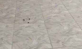 Imagem 3: Venda: Casa No Bairro Jd. Valparaiba Na Reg. Leste De s.j.c