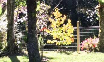 Imagem 5: Casa em rua das orquideas - Colinas - São Francisco de Paula/RS