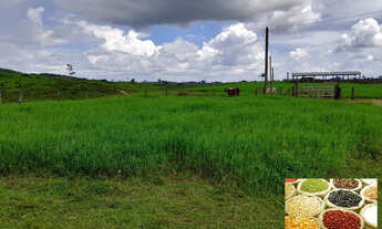 Imagem 7: FAZENDA À VENDA EM ANAPU - PA - DE 400 ALQUEIRÕES (Pecuária