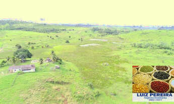 Imagem 2: FAZENDA À VENDA EM ANAPU - PA - DE 400 ALQUEIRÕES (Pecuária