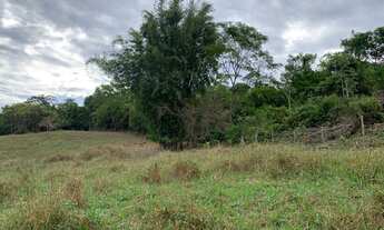 Imagem 5: Chacara terra 1,5 alqueire mucambinho