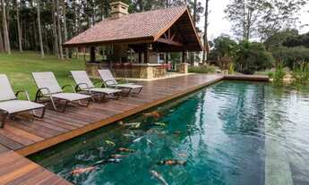 Imagem: AF- Chácara 500 mil entrada R$16.500