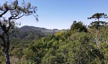 Imagem: Terreno com Preço de Oportunidade à Venda