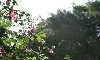 Imagem 6: Condomínio Pedra Verde Maricá - Venha morar cercado da natureza - Lotes 900m²