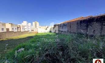 Imagem 4: Terreno (terreno normal