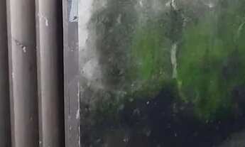 Imagem: Estela rodrigues