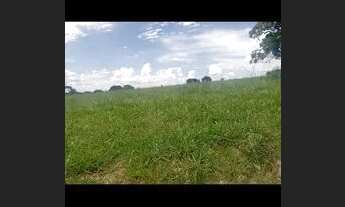 Imagem 3: Petrolina 37 alqueires