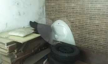 Imagem 3: Sobrado para aluguel em Vila Mariana - São Paulo - SP