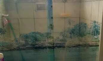 Imagem 2: APTO CARAPICUÍBA