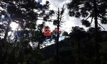 Imagem 12: Casarão no Condomínio Portal da Mantiqueira, Santo Antônio do Pinhal