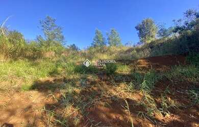 Imagem 3: MORRO REUTER - Terreno Padrão - Interior