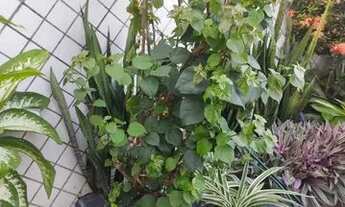 Imagem 3: Casa na Cidade da Esperança próxima à Degepol