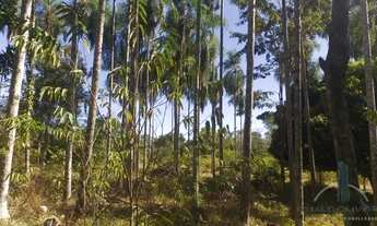 Imagem: Excelente oportunidade de com mais de 100