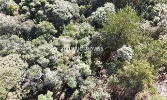 Imagem 5: Belo Lote de Terreno à Venda na Região de Descansópolis - Campos do Jordão/SP