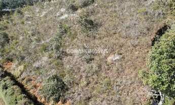 Imagem 5: Maravilhoso Lote de Terreno à Venda na Região de Descansópolis - Campos do Jordão/SP