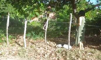 Imagem 5: Terreno na areia branca, mosqueiro