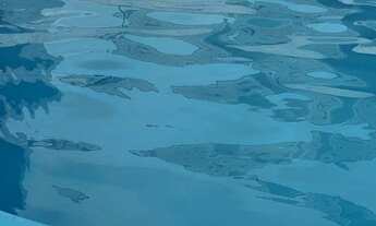 Imagem 2: Aluguel Apartamento com 2 dormitórios