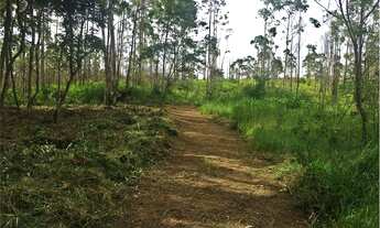 Imagem 6: Terreno à venda de 40.035m²- Cotia/SP