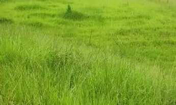 Imagem 4: Venda-se está propriedade de 4 alqueires no Município de Mimoso do Sul/ES