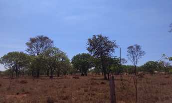 Imagem 2: Terrenos 20.000 m² MG