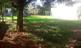 Imagem 3: Casa com amplo terreno