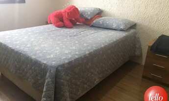 Imagem 7: São Paulo - Casa Comercial - Água Rasa