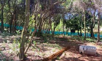 Imagem 2: Lote comercial com excelente topografia