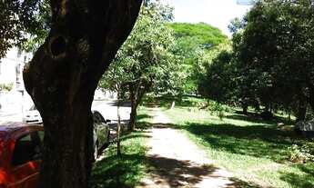 Imagem 5: Apartamento residencial para locação, Passo da Areia, Porto Alegre - AP1438