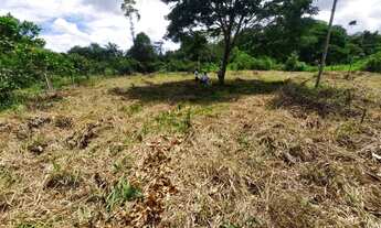 Imagem 4: CHÁCARA no Areia Branca