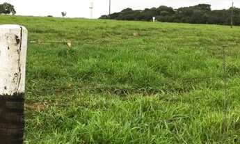 Imagem: Chácara 2 hectares em Trindade