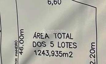 Imagem 6: PORTO ALEGRE - Terreno Padrão - Vila Jardim