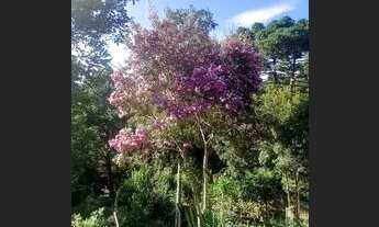 Imagem 2: Chácara Chácara com venda por R$230.000