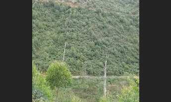 Imagem 6: Chácaras Chácara com venda por R$8.000