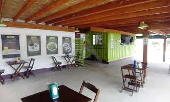 Imagem 4: Salão à venda e para alugar em Campinas, Jardim Chapadão, com 1398 m²