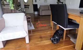 Imagem 4: Apto 4 dorm/suite 2 vagas independentes,Mobilhado e decorado