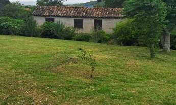 Imagem: Vende se sitio