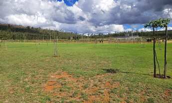 Imagem 5: Lote à venda em Alphaville - Lagoa dos Ingleses - Nova Lima - MG