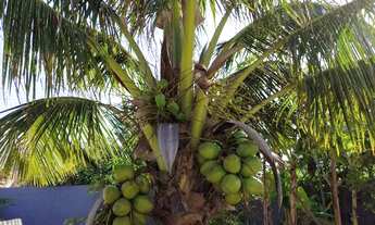 Imagem 7: CASA DE PRAIA SAUÍPE