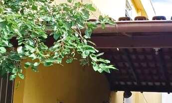 Imagem: Temporada ate 3 meses