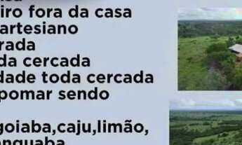 Imagem 4: Linda Chácara à venda